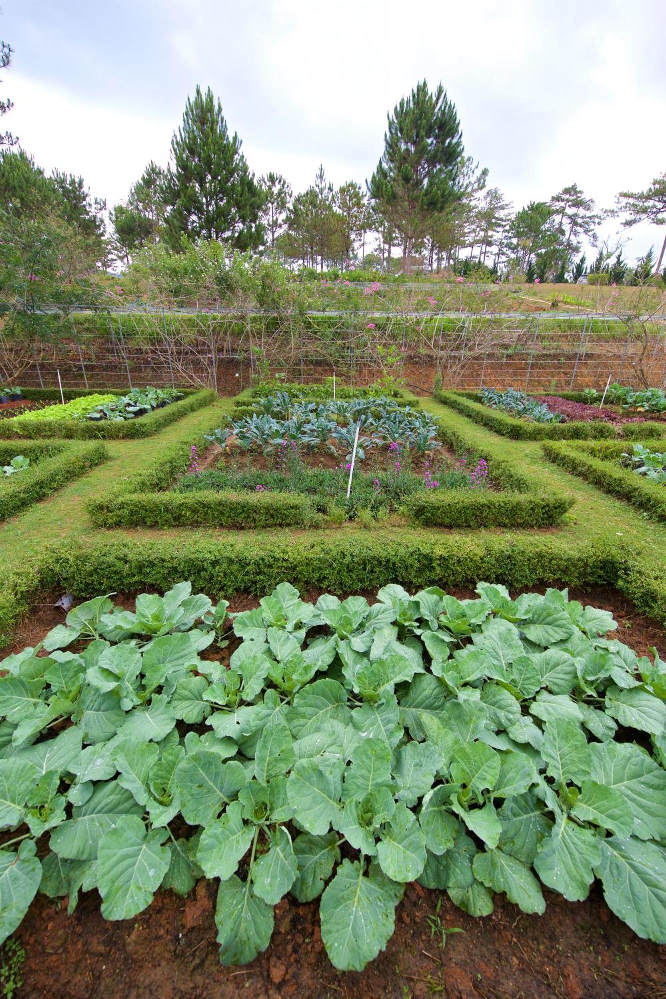 Binh An Village Resort Da Lat Zewnętrze zdjęcie
